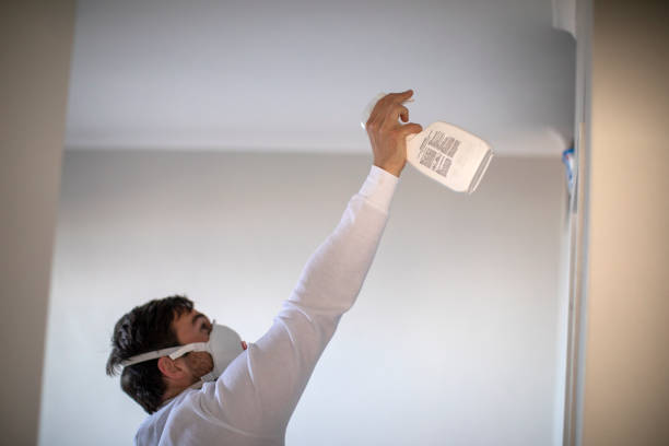 Best Crawl Space Mold Removal  in Montgomery, IL